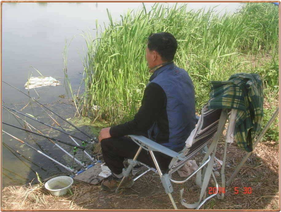 진위천 조황 소식 (조황조행기 - 특파원조황)