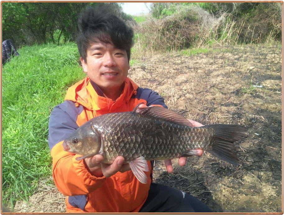 진위천 조황 소식 (조황조행기 - 특파원조황)