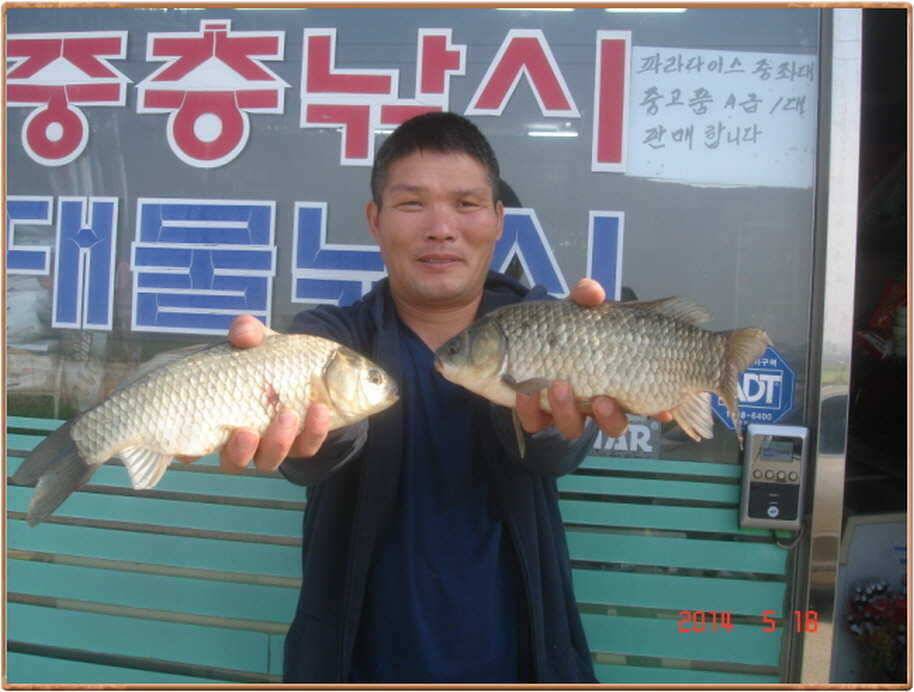 진위천 주말 조황 (조황조행기 - 특파원조황)