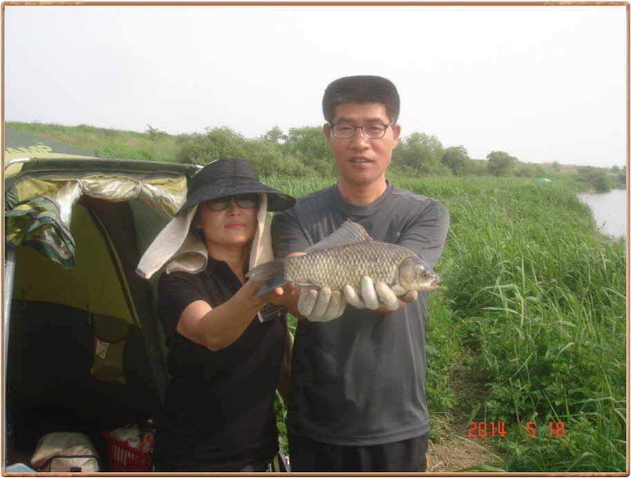 진위천 주말 조황 (조황조행기 - 특파원조황)