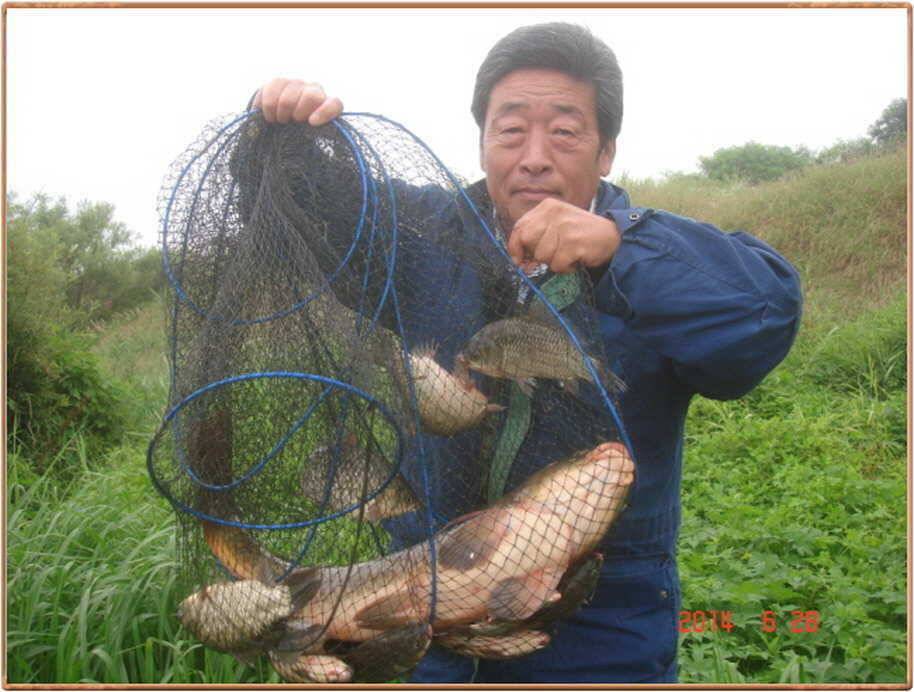 진위천 조황 소식 (조황조행기 - 특파원조황)
