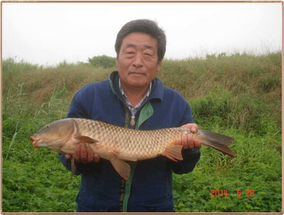 진위천 조황 소식 (조황조행기 - 특파원조황)