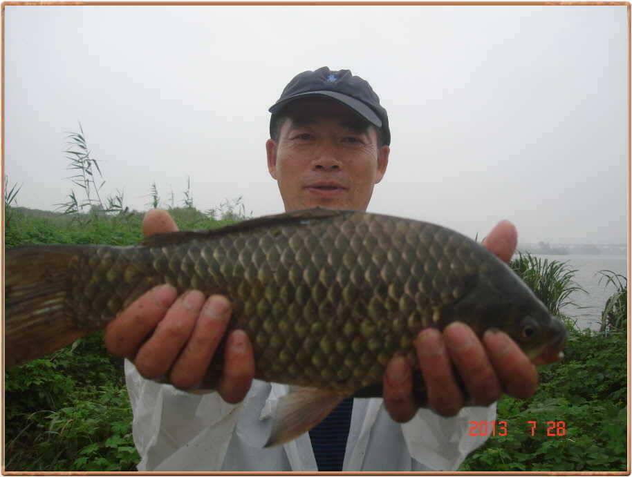 진위천조황소식 (조황조행기 - 특파원조황)