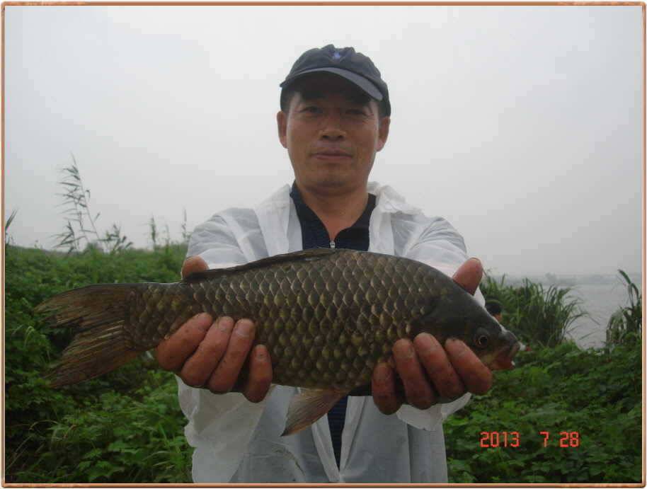 진위천조황소식 (조황조행기 - 특파원조황)