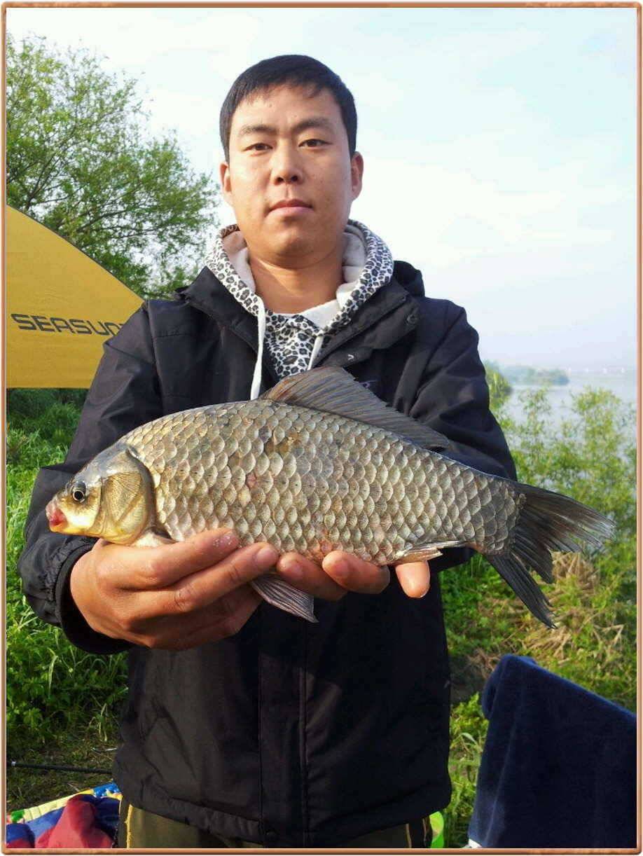 주말진위천 소식 (조황조행기 - 특파원조황)