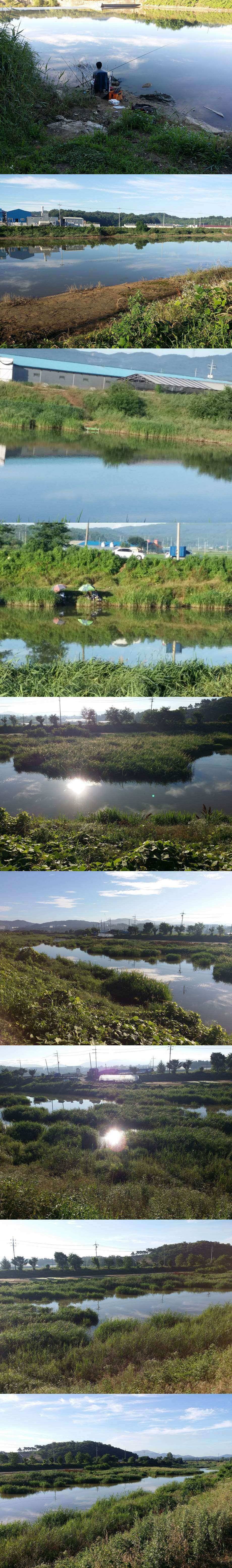 청미천 낚시 가능합니다 (조황조행기 - 특파원조황)