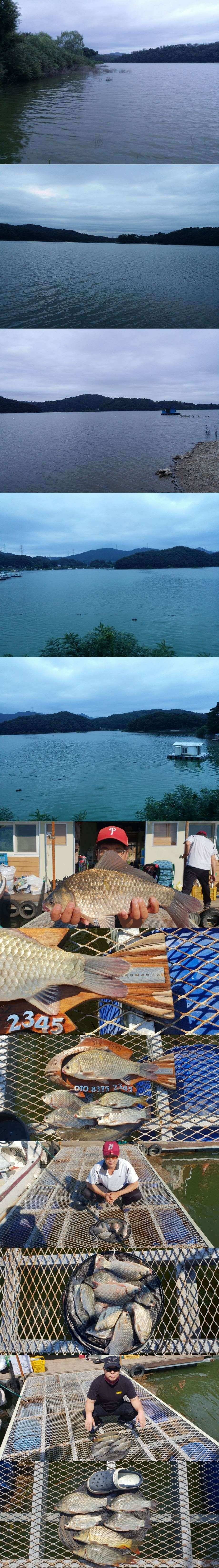 고삼지4짜들이 올라오기 시작합니다 (조황조행기 - 특파원조황)