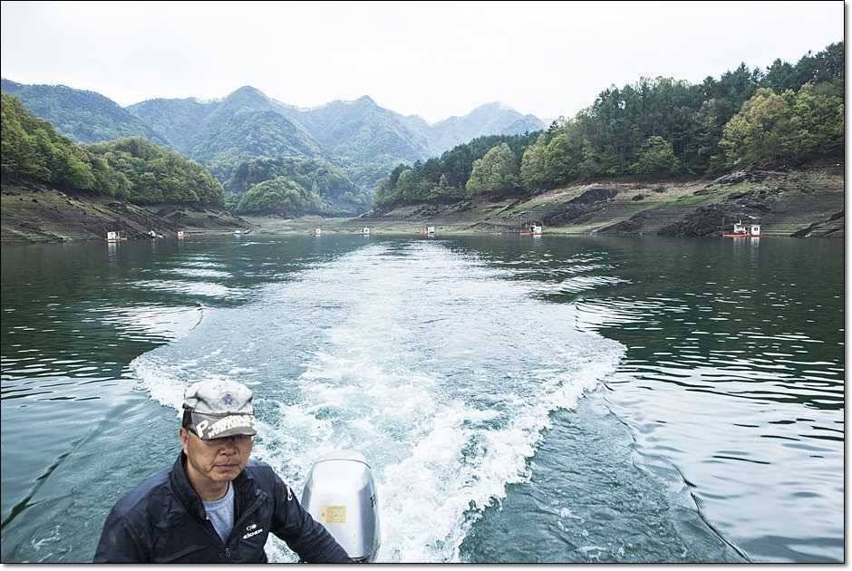 충주호 사짜 (조황조행기 - 특파원조황)