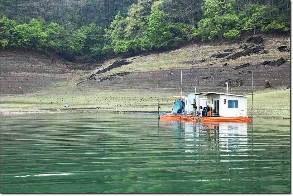 충주호 사짜 (조황조행기 - 특파원조황)