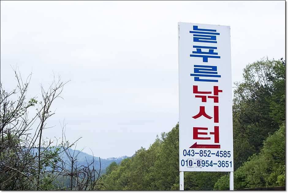 충주호 사짜 (조황조행기 - 특파원조황)