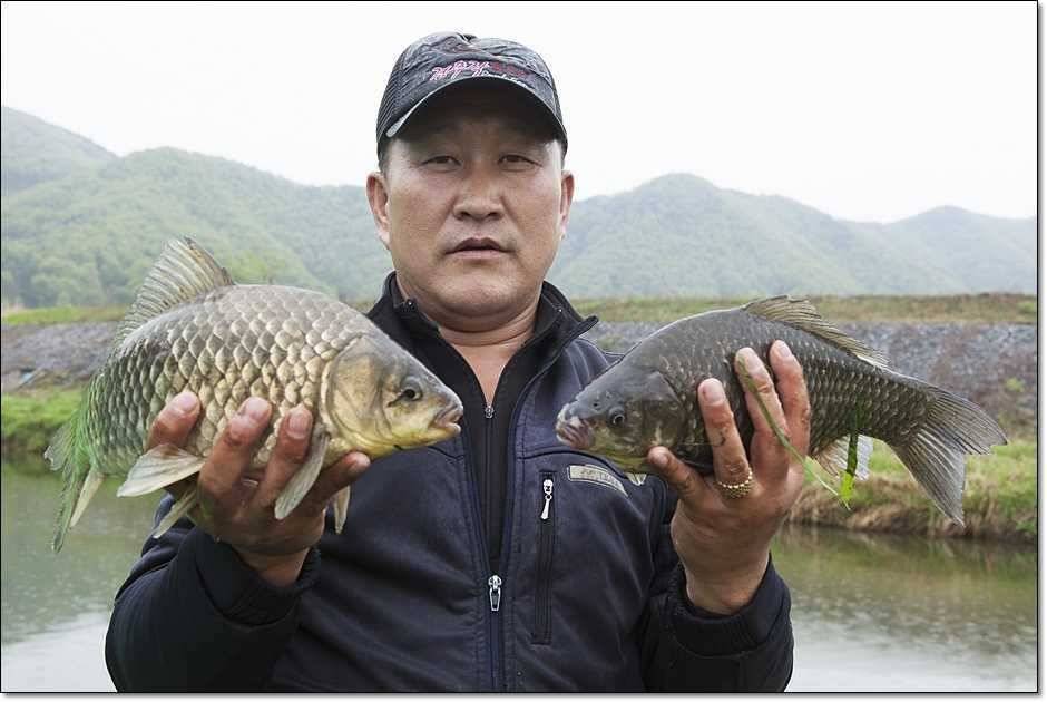 충주호 사짜 (조황조행기 - 특파원조황)