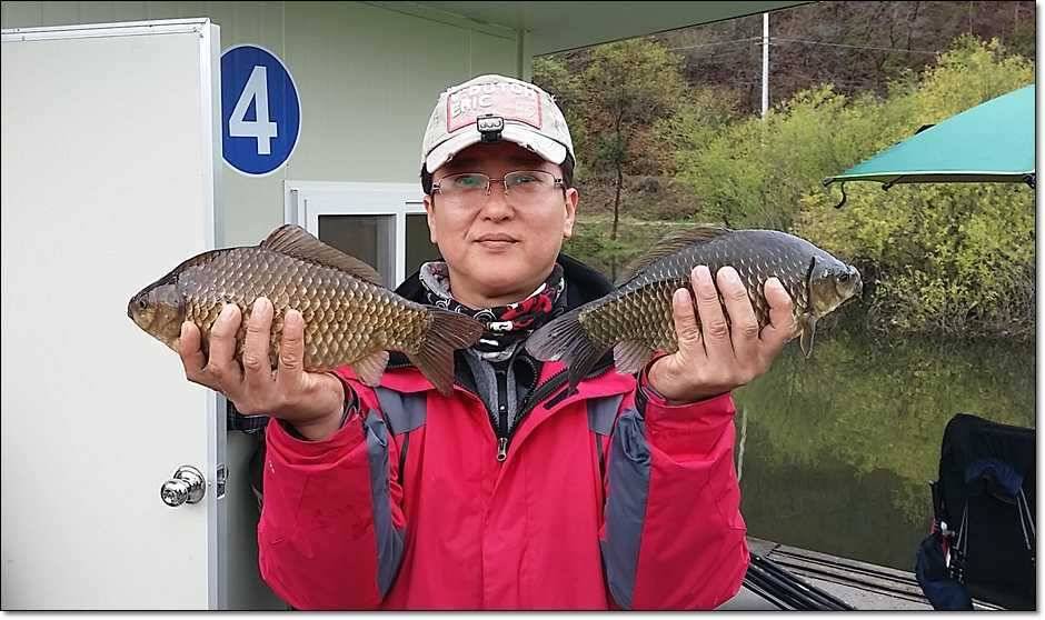 충주권 조황 (조황조행기 - 특파원조황)