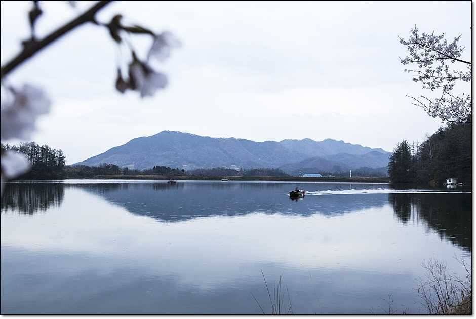 충주권 조황 (조황조행기 - 특파원조황)