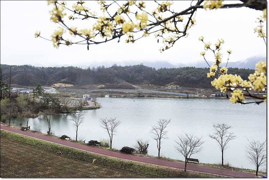 칠성지 사짜 대란 (조황조행기 - 특파원조황)