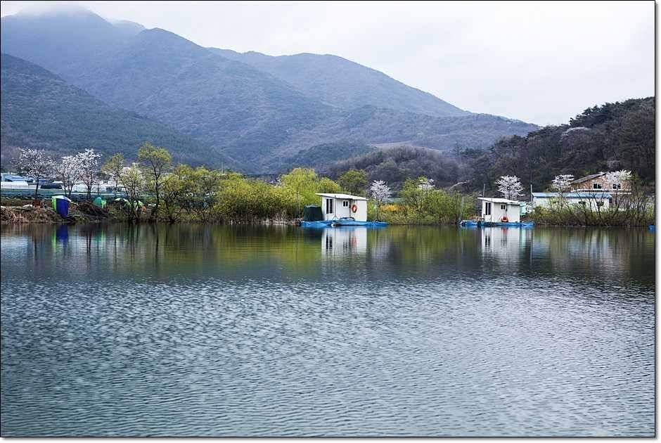 충주권 조황 (조황조행기 - 특파원조황)