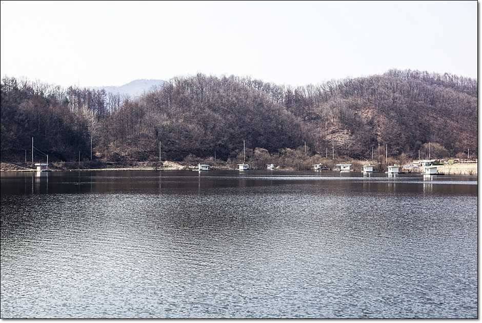 화곡지 산란임박 (조황조행기 - 특파원조황)