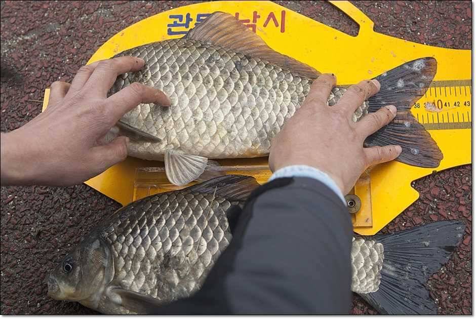 칠성지 사짜 대란 (조황조행기 - 특파원조황)