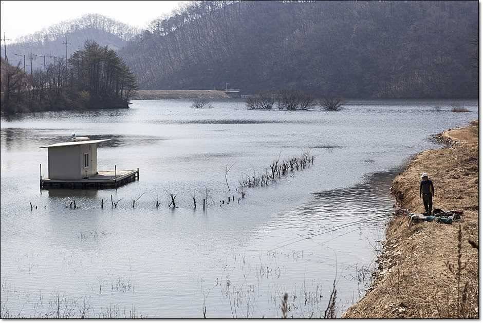 화곡지 산란임박 (조황조행기 - 특파원조황)