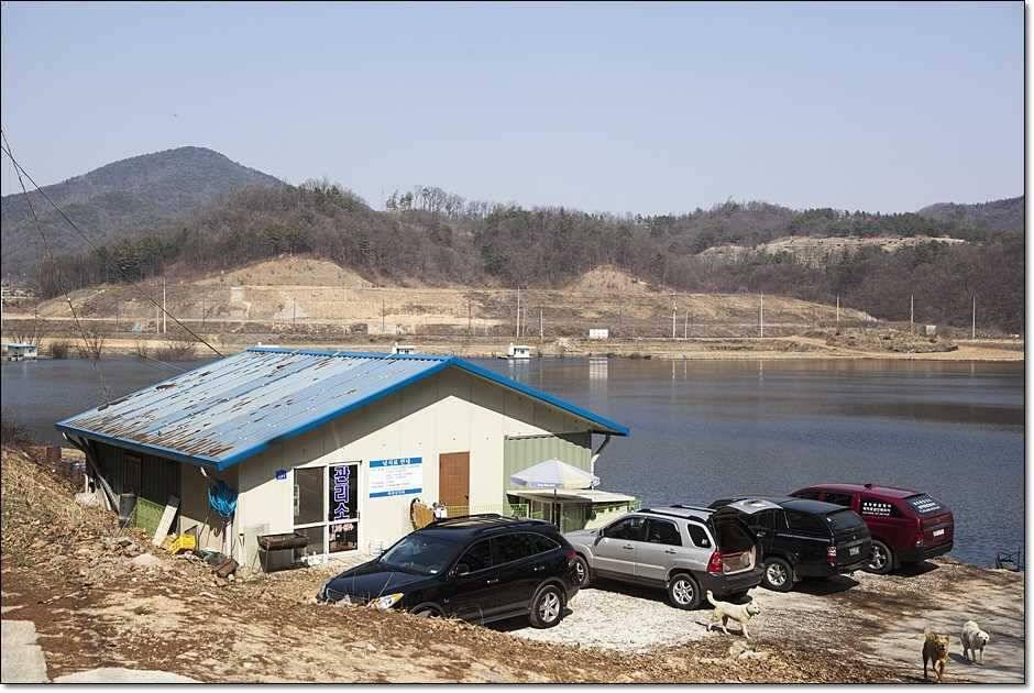 화곡지 산란임박 (조황조행기 - 특파원조황)