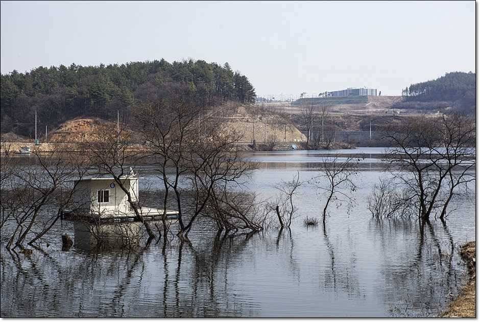 화곡지 산란임박 (조황조행기 - 특파원조황)
