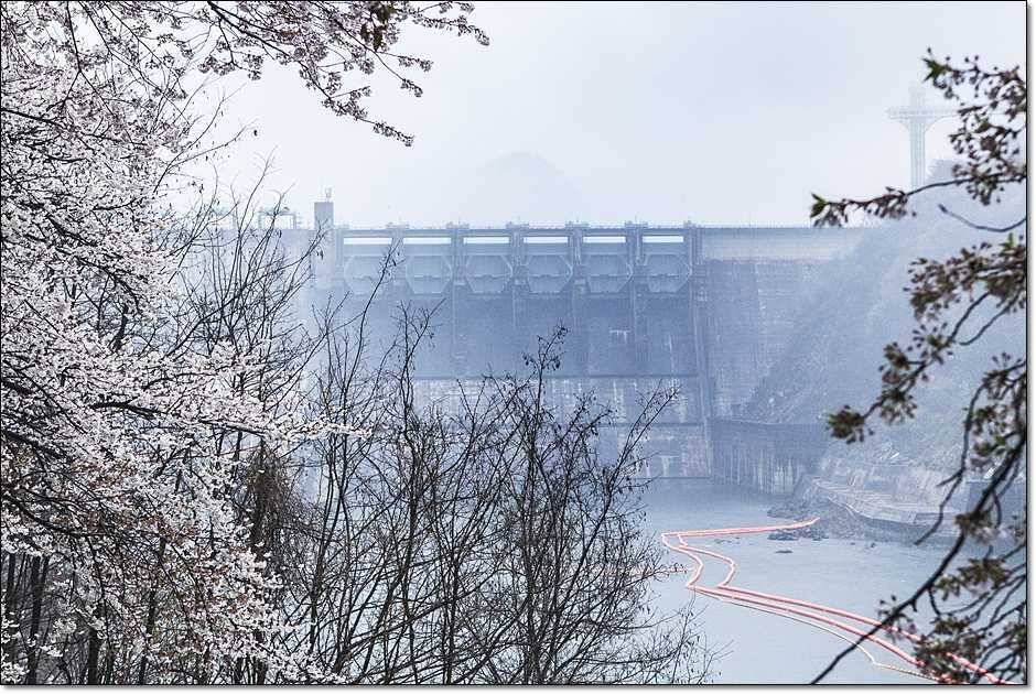 충주권 조황 (조황조행기 - 특파원조황)