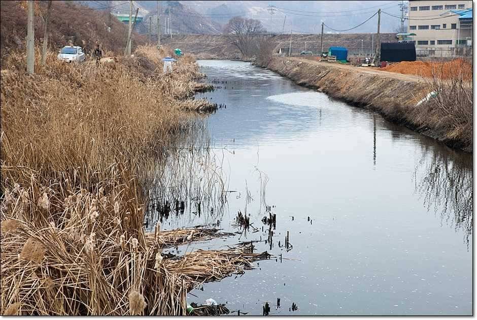 충주권 조황 (조황조행기 - 특파원조황)