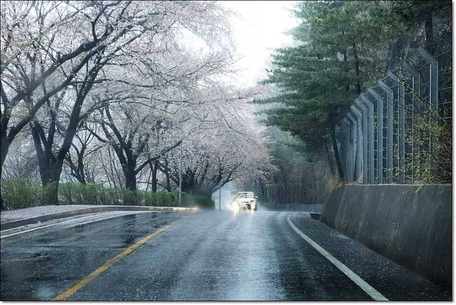 충주권 조황 (조황조행기 - 특파원조황)