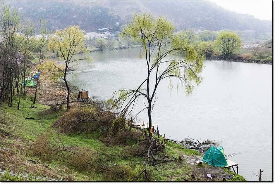 충주권 조황 (조황조행기 - 특파원조황)