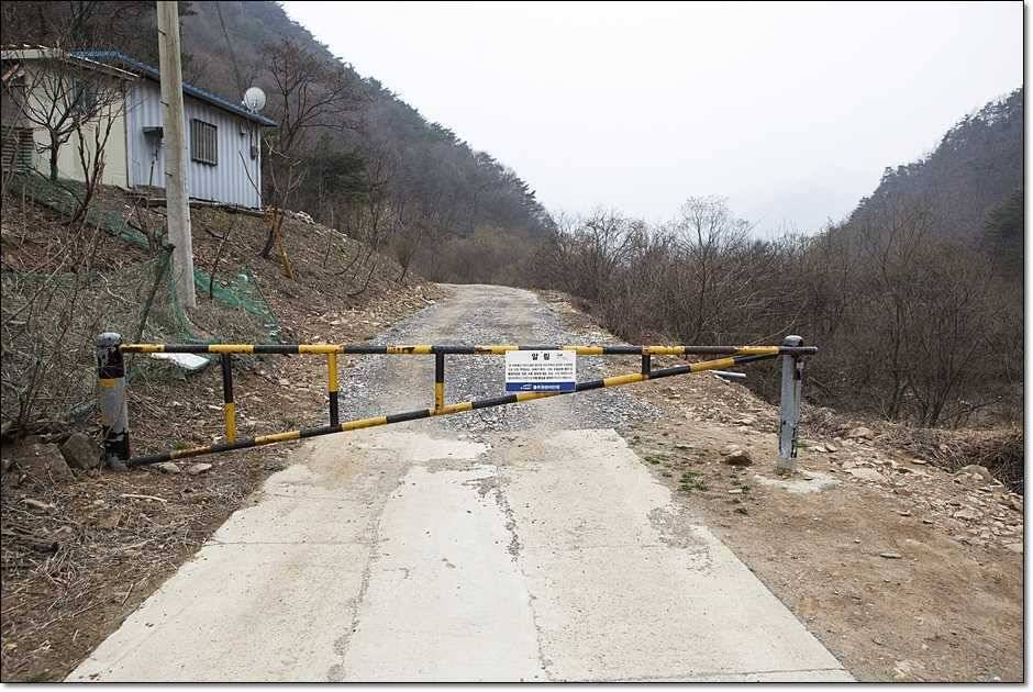 매전지화곡지충주호 (조황조행기 - 특파원조황)