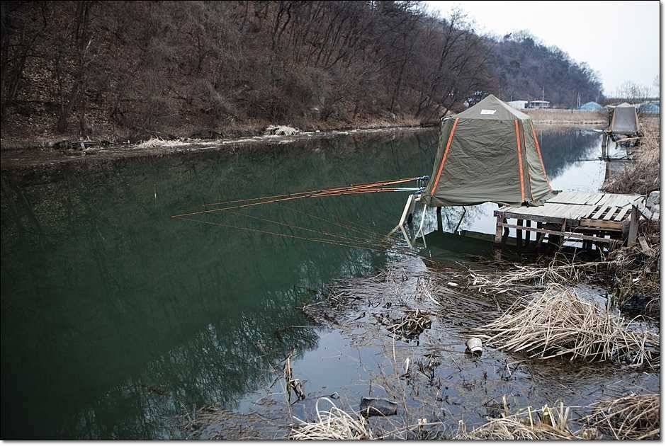 충주권 조황 (조황조행기 - 특파원조황)