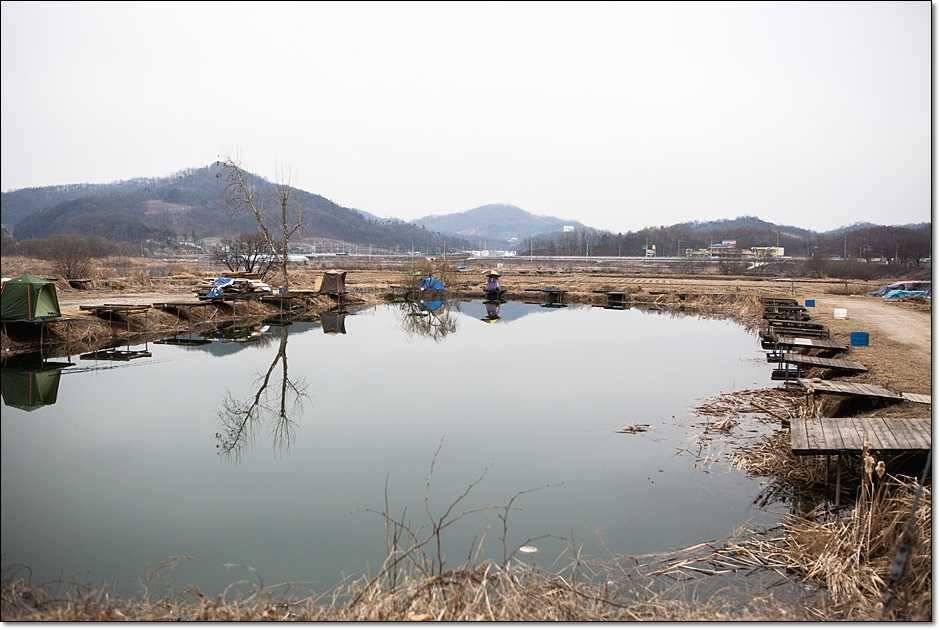 충주권 조황 (조황조행기 - 특파원조황)