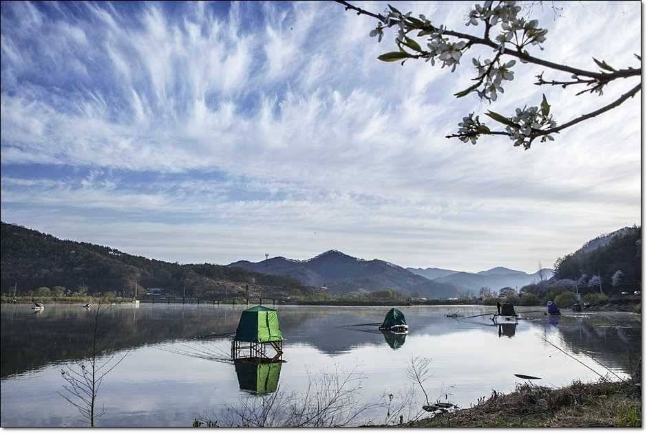 충주호 월척 (조황조행기 - 특파원조황)