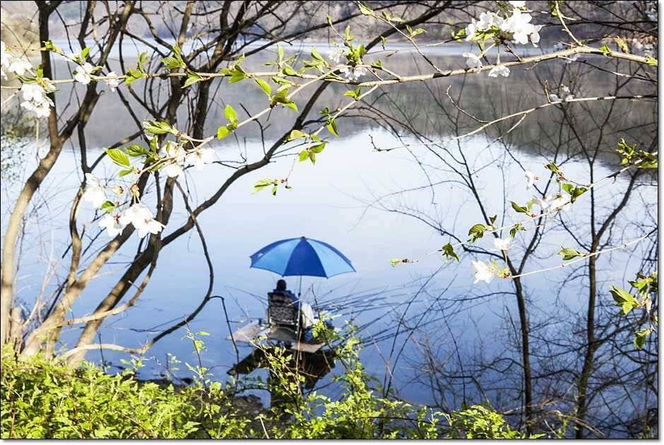 충주호 월척 (조황조행기 - 특파원조황)