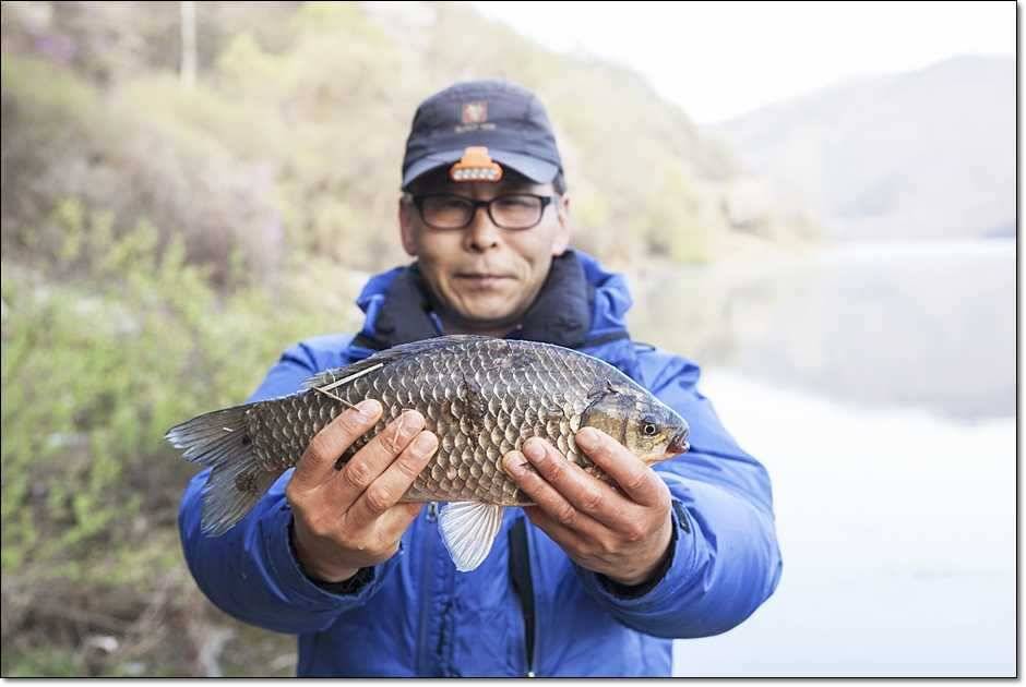 충주호 월척 (조황조행기 - 특파원조황)