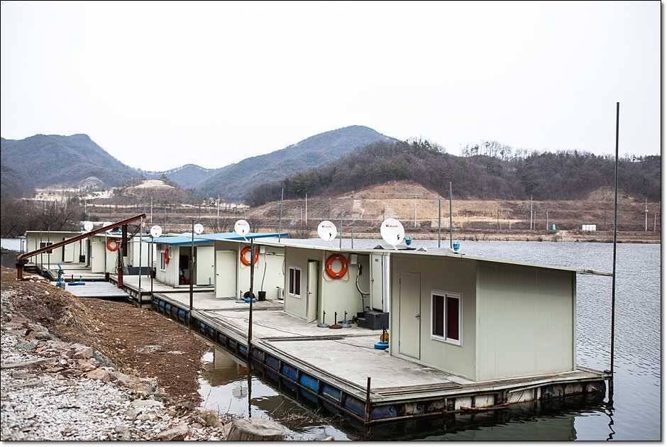 충주권 조황 (조황조행기 - 특파원조황)