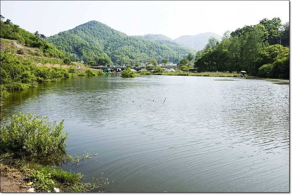 추산지소류지 조황 (조황조행기 - 특파원조황)