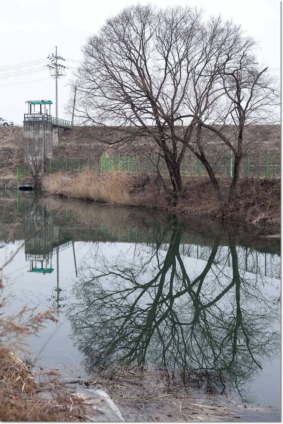 물낚시 시작 (조황조행기 - 특파원조황)