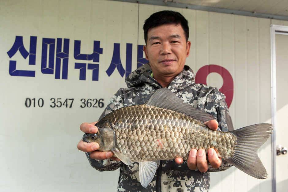 신매 낚시터사짜 대물 (조황조행기 - 특파원조황)