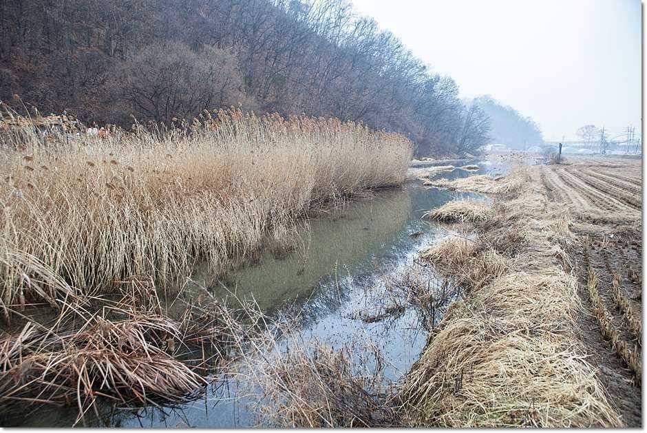 물낚시 시작 (조황조행기 - 특파원조황)