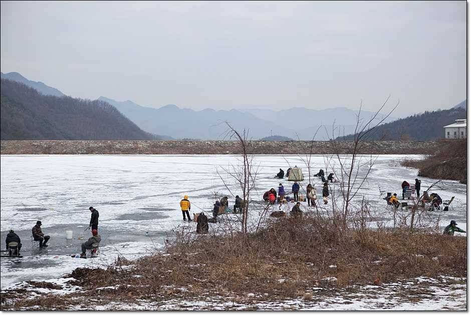 충주 괴산권 조황 (조황조행기 - 특파원조황)