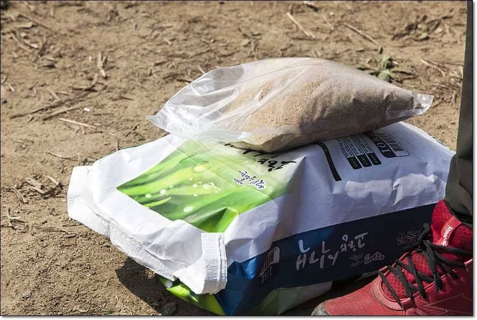 추산지소류지 조황 (조황조행기 - 특파원조황)