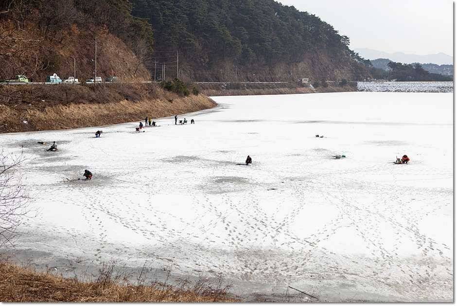 물낚시 시작 (조황조행기 - 특파원조황)