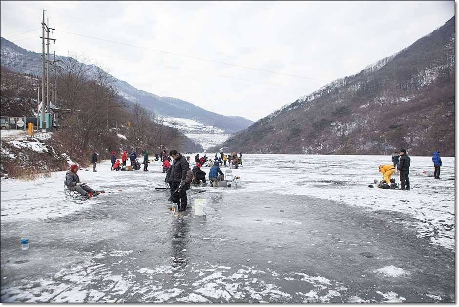 충주 괴산권 조황 (조황조행기 - 특파원조황)