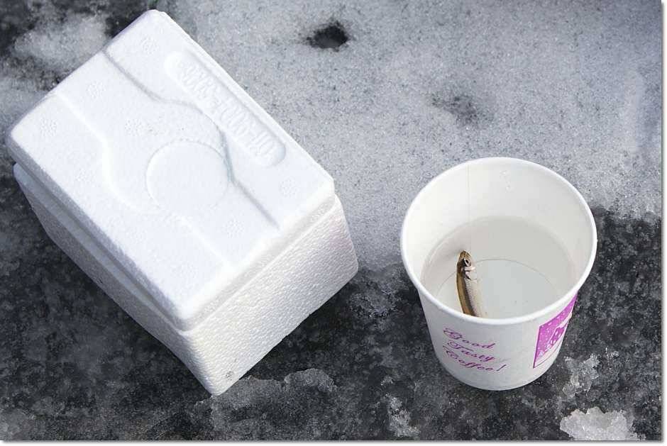 물낚시 시작 (조황조행기 - 특파원조황)