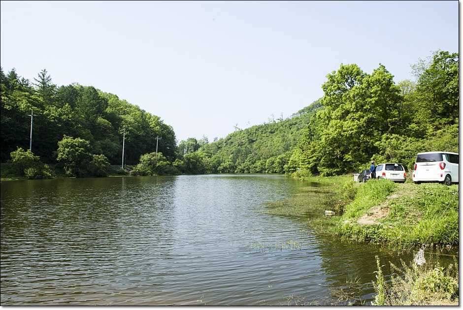 추산지소류지 조황 (조황조행기 - 특파원조황)
