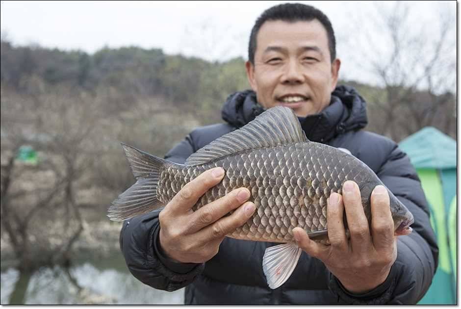칠성지매전지 (조황조행기 - 특파원조황)