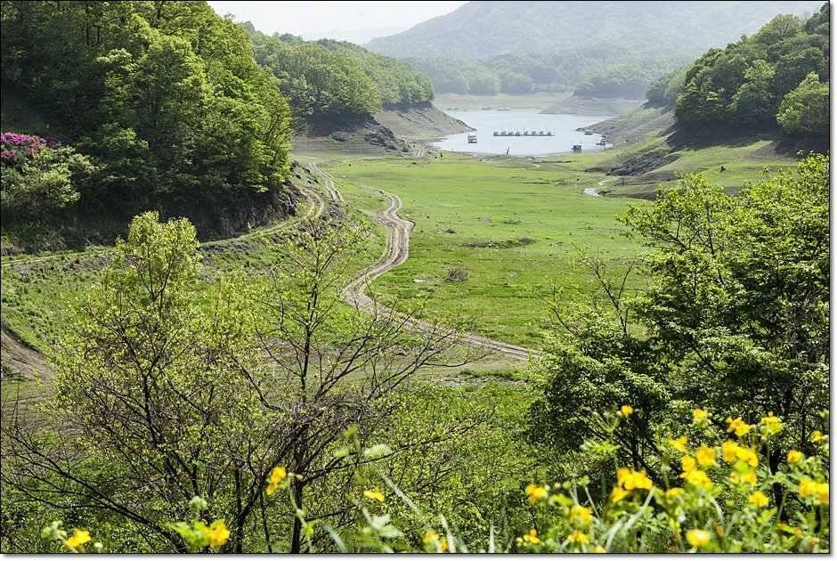 소류지 대물신매 월척 (조황조행기 - 특파원조황)