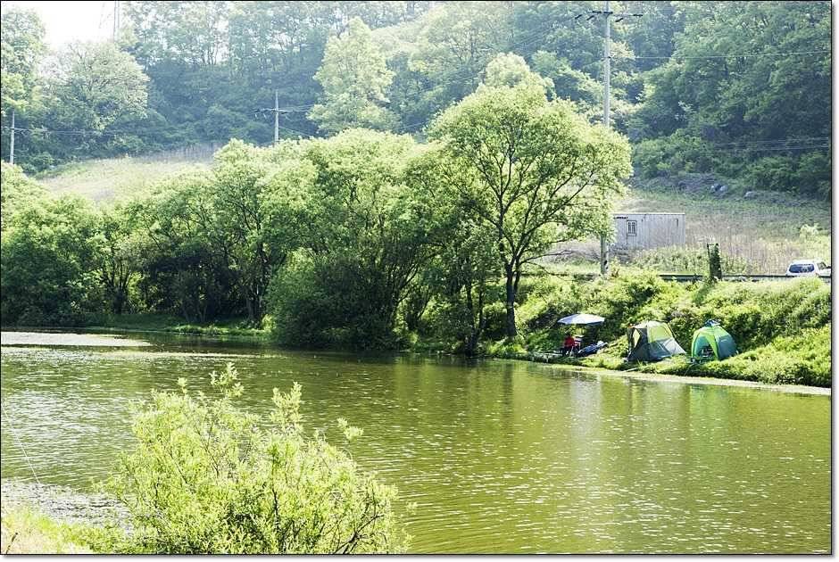 추산지소류지 조황 (조황조행기 - 특파원조황)