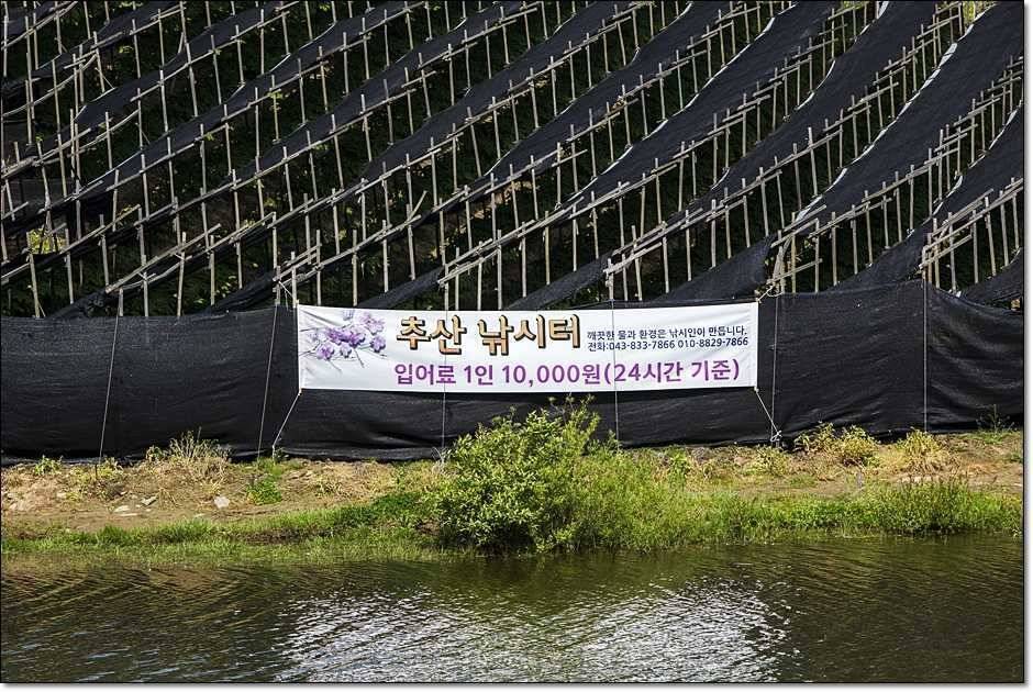 추산지소류지 조황 (조황조행기 - 특파원조황)