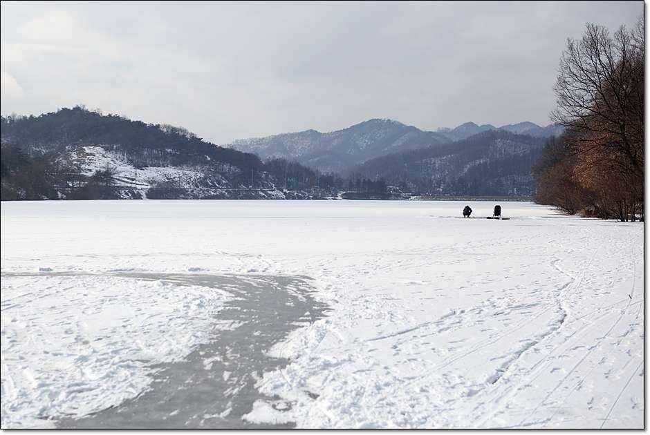 충주 괴산권 조황 (조황조행기 - 특파원조황)